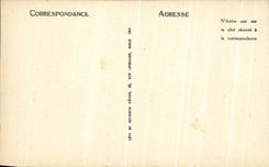 CPA Palais de Fontainbleau La Fontaine de Diane