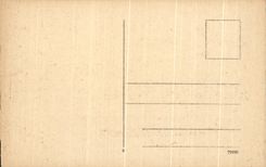 CPA Caub MIT Pfalz und Gutenfels Ruin