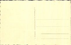 CPA Lourdes Le Gave et les Piscines