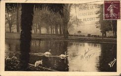 CPA Bordeaux Dans le Jardin public Cygne
