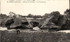 CPA Pornic Cote De La Birochere Les Cheminees