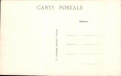 CPA Pornic Cote De La Birochere Les Cheminees