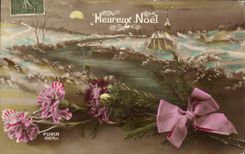 CPA Fantaisie Fleurs Heureux Noel