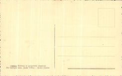 Perros grandes de Aosta Cani LED S Bernardo del d de CPA Valle