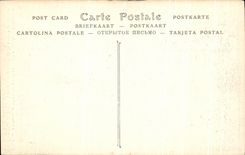 El castillo de CPA de Azay de adornamiento la cortina de Fagments decorativa de lugares utiliza Fenetre del ataque frontal principal