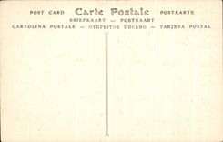 Castillo de CPA del nacional de Azay la cortina de Chatau