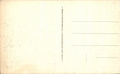 CPA Azay la cortina el museo nacional del castillo del renacimiento