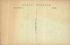 CPA Chinon the Castle the Bridge and the Tower of the Clock