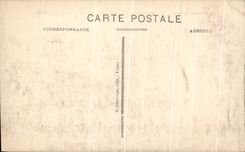 CPA Chinon View of the Castle and Vienna