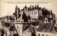CPA Loches La Porte Des Cordeliers Et La Vue Generale Du Chateau Royal