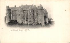 CPA the Castle De Luynes