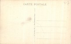 CPA Environs de Tours Chateau de Plessis les Tours 