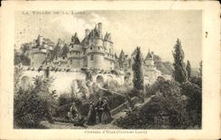 CPA La Vallee de la Loire Chateau d'Usse