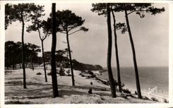 CPA Le Moulleau Arcachon Le parc des Abatilles et Vue sur les passes du bassin