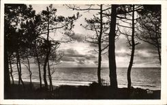 CPA Lacanau Ocean Sunset Through the Pines Delbeau Chaponnet Large Bazaar Of Capitole