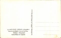 CPA Lacanau Ocean Sunset Through the Pines Delbeau Chaponnet Large Bazaar Of Capitole