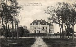 CPA Listrac Castle Clarke And White Merle