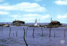 CPM Bassin d'Arcachon L'Lle Aux Oiseaux Au Centre Du Bassin d'Arcachon