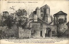 CPA Preuilly sur claise chateau du Lion