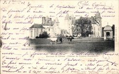 CPA Environs de Chinon Chateau du Coudray Montpensier Vaches