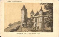 CPA La Vallee De La Loire Tour d'Agnes Sorel a Loches 