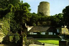 CPM la Vallee De La Brenne Chateau Renault