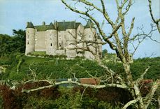 MODERN CARD Luynes the castle and turns