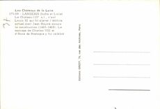 TARJETA MODERNA los langeais de Loire ch4ateau Castle Louis XI