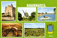 CPM Bourgueil L'Abbaye Le Moulin bleu Le Plan d'eau Une cave Vendanges