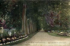 CPA Palais De Fontainebleau Le Grande Allee du jardin Anglais