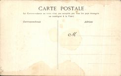 CPA Palais De Fontainebleau Le Grande Allee du jardin Anglais