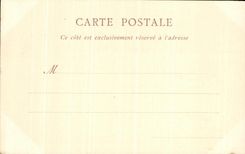 CPA Fraud Catbedrale