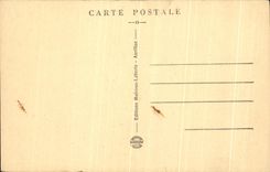 CPA Le Cantal Pittoresque Vic Sur Cere L'Allee des Sources et Vic Sur Cere