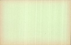 CPA French Sudan a mango tree