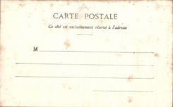 CPA Castles Of the Vendee the chestnut grove Bailly Castle Of the Bridge