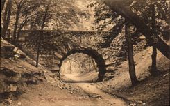 CPA Parc De St Cloud the Bridge Of the devil