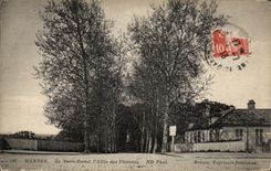 CPA Mantes Ile Notre Dame l'Allee des Platanes 