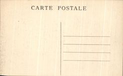 CPA Lyon the Gulls Birds