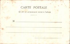 CPA Les Chateau de La Vendee Le Chateau de Bourneau