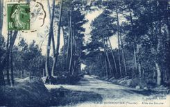 CPA Ile de Normoutier Allee des Soupirs