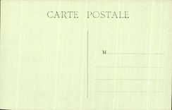 CPA the Vendee the Chestnut grove Castle of the Bridge