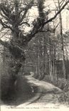 CPA La Brossardiere Pres La Roche Chemin du Magnou 