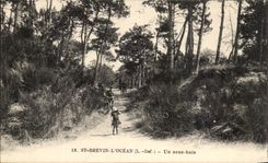 CPA St Brevin the Ocean under wood