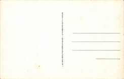 CPA Lourdes Le basilique et le Calvaire Breton