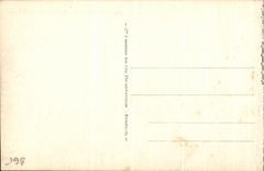 CPA Lourdes La basilique et la Gave