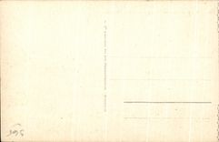 CPA Lourdes La Basilique et le Fer a cheval