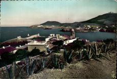 CPSM Collioure View