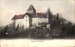 CPA Chateau de Blonay
