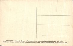 CPA Bruselas la tumba de los leones del soldado desconocido