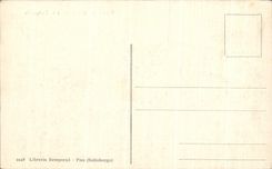 CPA Plsa Cattedrale E it Bell-tower